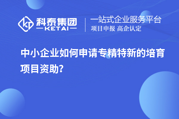 中小企業(yè)如何申請(qǐng)專精特新的培育項(xiàng)目資助？