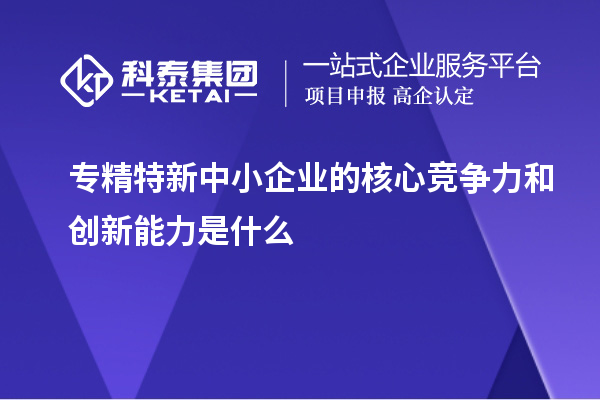 專精特新中小企業的核心競爭力和創新能力是什么