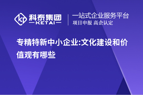 專精特新中小企業:文化建設和價值觀有哪些