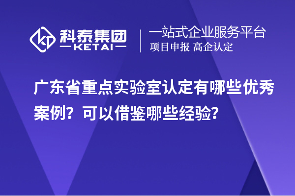 廣東省重點實驗室認定有哪些優(yōu)秀案例？可以借鑒哪些經驗？