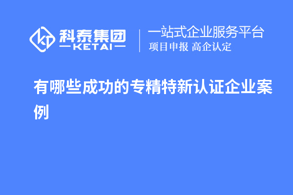 有哪些成功的專精特新認證企業案例