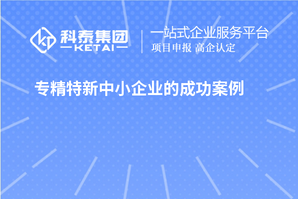 專精特新中小企業的成功案例