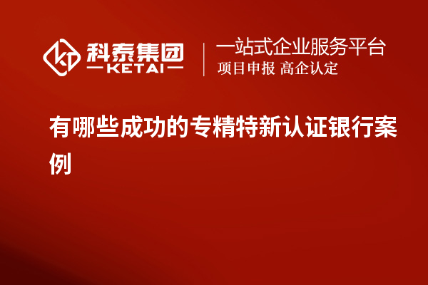 有哪些成功的專精特新認證銀行案例