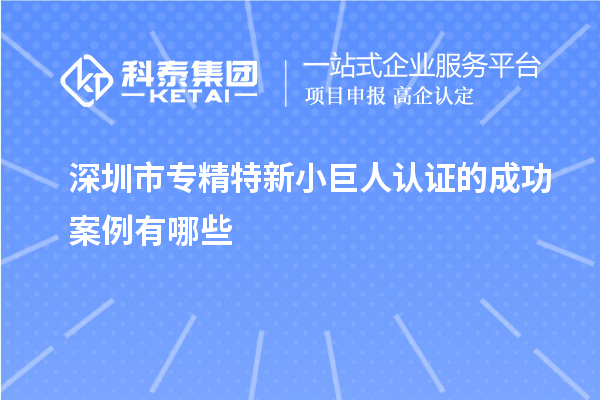 深圳市專精特新小巨人認證的成功案例有哪些