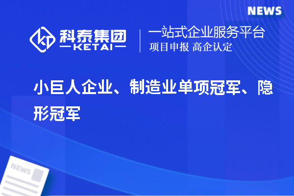 小巨人企業(yè)、制造業(yè)單項(xiàng)冠軍、隱形冠軍