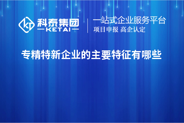 專精特新企業(yè)的主要特征有哪些