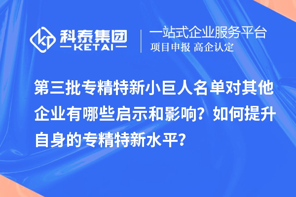 第三批專精特新小巨人名單對其他企業有哪些啟示和影響？如何提升自身的專精特新水平？