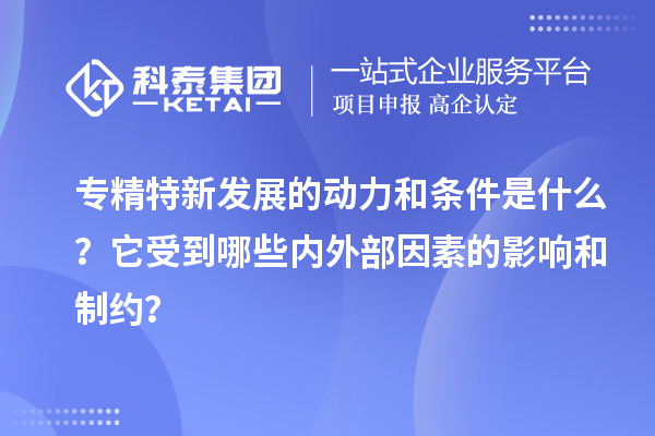 專精特新發(fā)展的動力和條件是什么？它受到哪些內(nèi)外部因素的影響和制約？