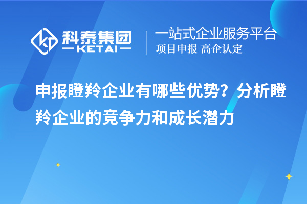 申報瞪羚企業(yè)有哪些優(yōu)勢？分析瞪羚企業(yè)的競爭力和成長潛力