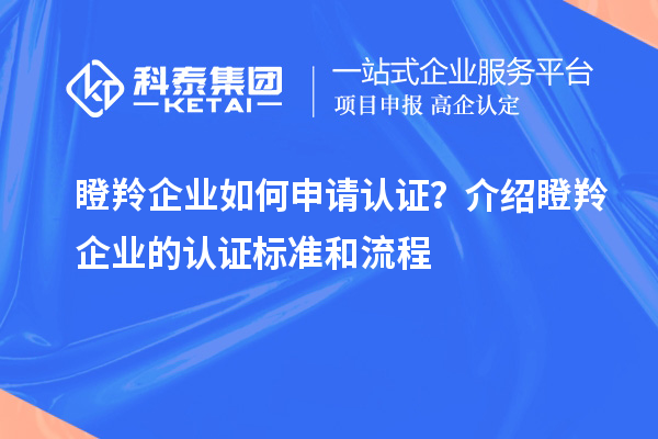 瞪羚企業(yè)如何申請認證？介紹瞪羚企業(yè)的認證標準和流程