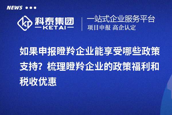 如果申報瞪羚企業能享受哪些政策支持？梳理瞪羚企業的政策福利和稅收優惠