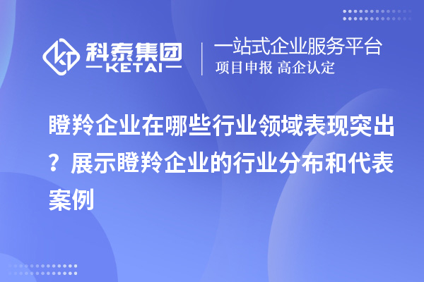 瞪羚企業在哪些行業領域表現突出？展示瞪羚企業的行業分布和代表案例