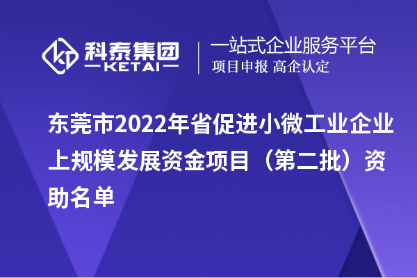 東莞市2022年省促進小微工業企業上規模發展資金項目（第二批）資助名單