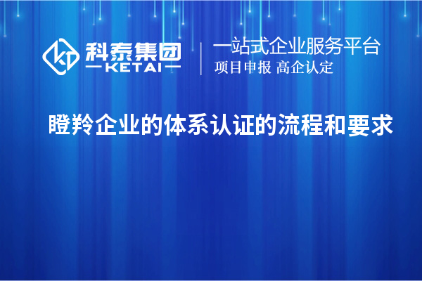 瞪羚企業的體系認證的流程和要求