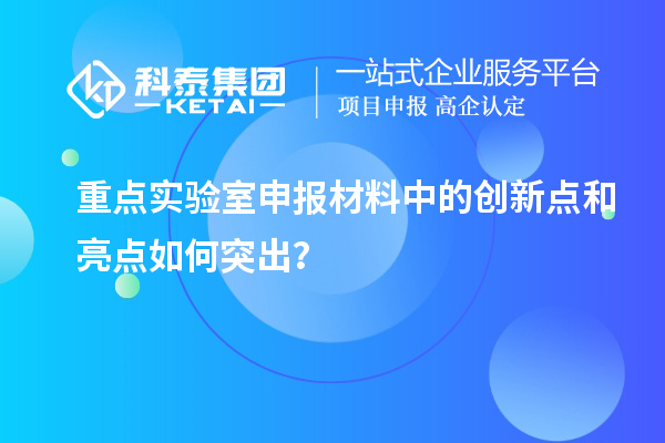 重點實驗室申報材料中的創新點和亮點如何突出？