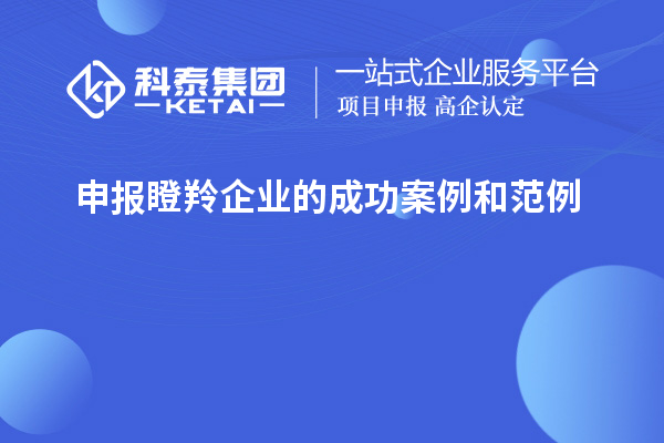 申報瞪羚企業的成功案例和范例