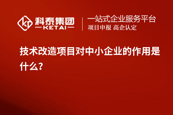 技術改造項目對中小企業的作用是什么？