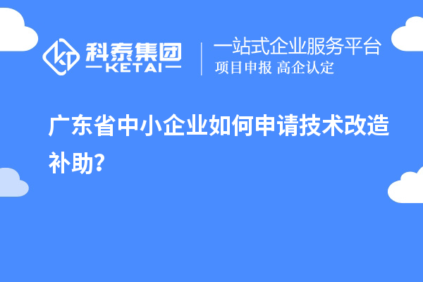 廣東省中小企業如何申請技術改造補助？