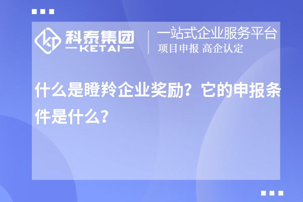 什么是瞪羚企業獎勵？它的申報條件是什么？