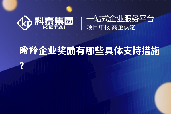 瞪羚企業獎勵有哪些具體支持措施？