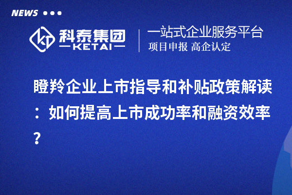 瞪羚企業上市指導和補貼政策解讀：如何提高上市成功率和融資效率？