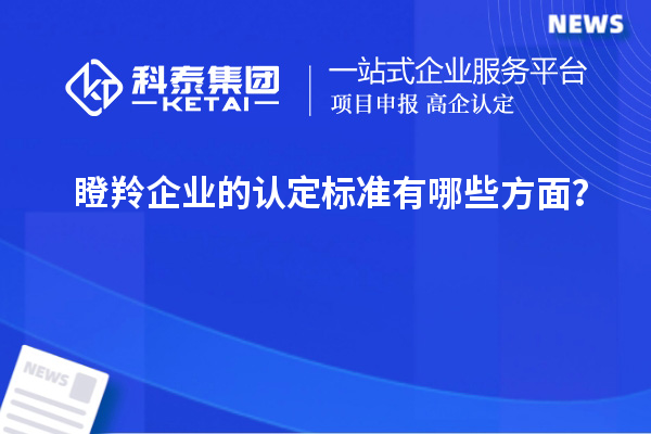 瞪羚企業的認定標準有哪些方面？