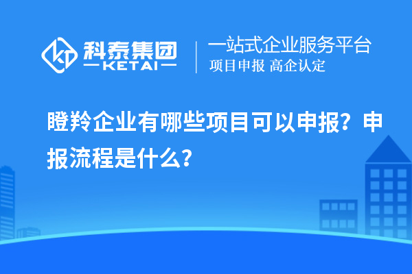 瞪羚企業有哪些項目可以申報？申報流程是什么？