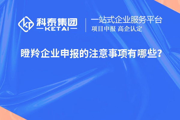 瞪羚企業申報的注意事項有哪些？