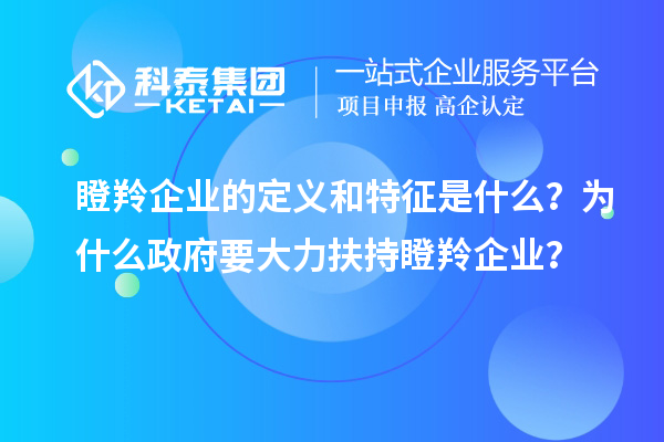 瞪羚企業的定義和特征是什么？為什么政府要大力扶持瞪羚企業？