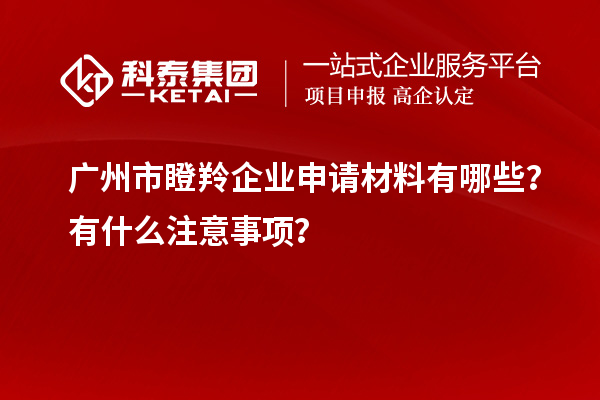 廣州市瞪羚企業申請材料有哪些？有什么注意事項？