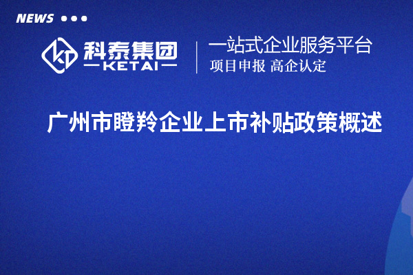 廣州市瞪羚企業上市補貼政策概述