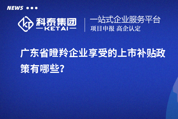 廣東省瞪羚企業享受的上市補貼政策有哪些？