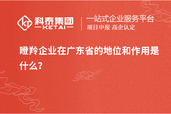 瞪羚企業在廣東省的地位和作用是什么？