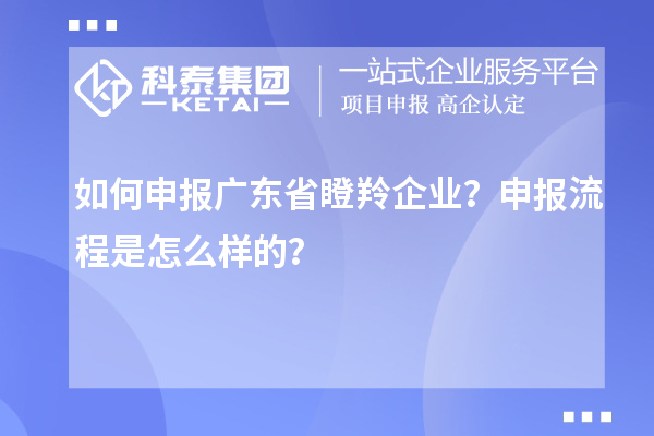 如何申報廣東省瞪羚企業？申報流程是怎么樣的？