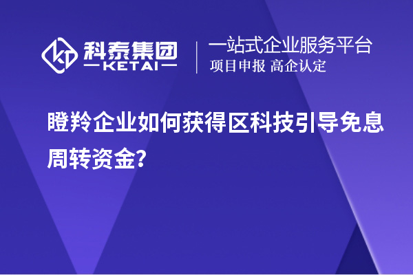 瞪羚企業如何獲得區科技引導免息周轉資金？