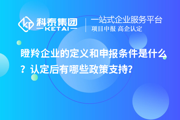 瞪羚企業的定義和申報條件是什么？認定后有哪些政策支持？