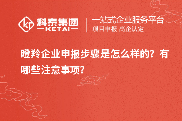 瞪羚企業申報步驟是怎么樣的？有哪些注意事項？