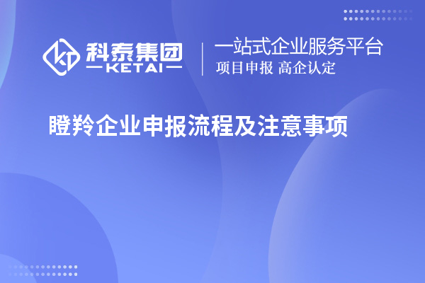 瞪羚企業申報流程及注意事項