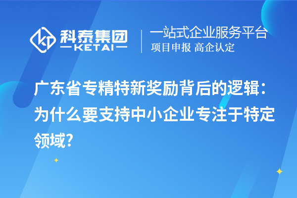 廣東省專精特新獎勵(lì)背后的邏輯：為什么要支持中小企業(yè)專注于特定領(lǐng)域?