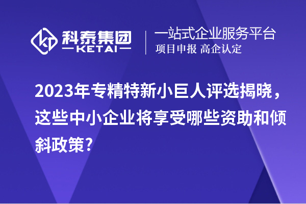 2023年專精特新小巨人評選揭曉，這些中小企業將享受哪些資助和傾斜政策?