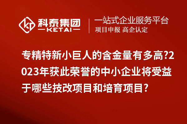 專精特新小巨人的含金量有多高?2023年獲此榮譽的中小企業將受益于哪些技改項目和培育項目?