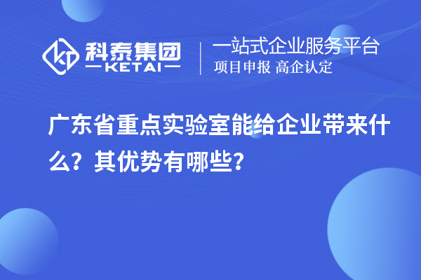 廣東省重點實驗室能給企業帶來什么？其優勢有哪些？