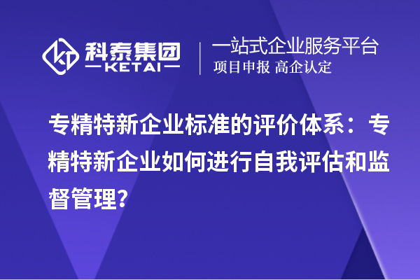 專精特新企業標準的評價體系：專精特新企業如何進行自我評估和監督管理？