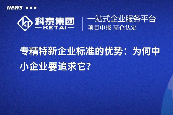 專精特新企業(yè)標準的優(yōu)勢：為何中小企業(yè)要追求它？