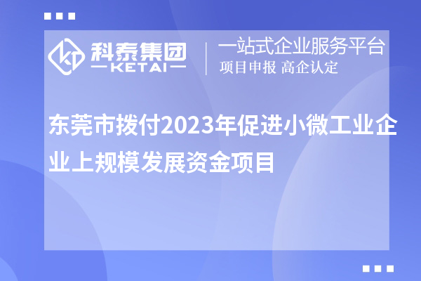 東莞市撥付2023年促進小微工業企業上規模發展資金項目