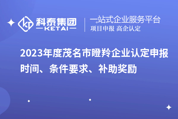 2023年度茂名市瞪羚企業(yè)認(rèn)定申報(bào)時(shí)間、條件要求、補(bǔ)助獎(jiǎng)勵(lì)