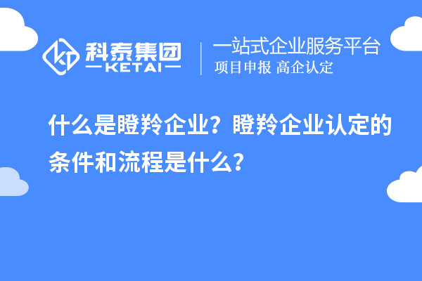 什么是瞪羚企業？瞪羚企業認定的條件和流程是什么？