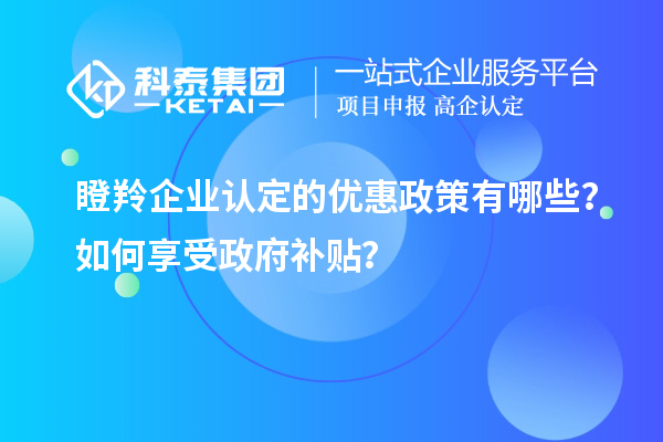 瞪羚企業認定的優惠政策有哪些？如何享受政府補貼？