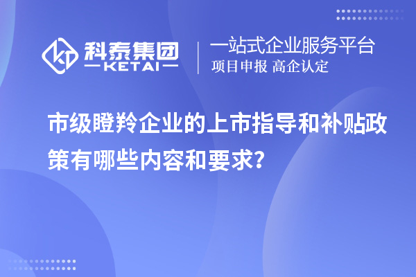 市級瞪羚企業的上市指導和補貼政策有哪些內容和要求？