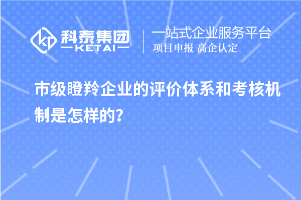 市級瞪羚企業的評價體系和考核機制是怎樣的？